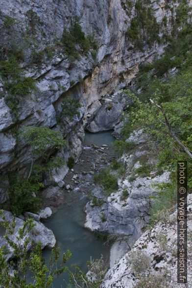 L'Estoublaisse dans les Gorges de Trévans. Photo © Alex Medwedeff