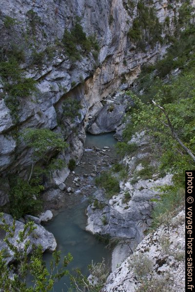 L'Estoublaisse dans les Gorges de Trévans. Photo © Alex Medwedeff