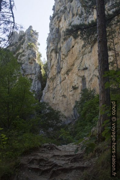 Le chemin sous la cluse du Clovion. Photo © Alex Medwedeff