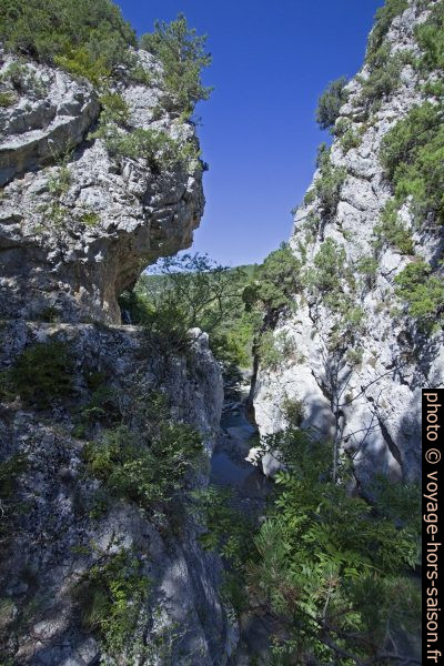 Cluse de l'Estoublaisse en aval du Carrefour des Gorges. Photo © André M. Winter