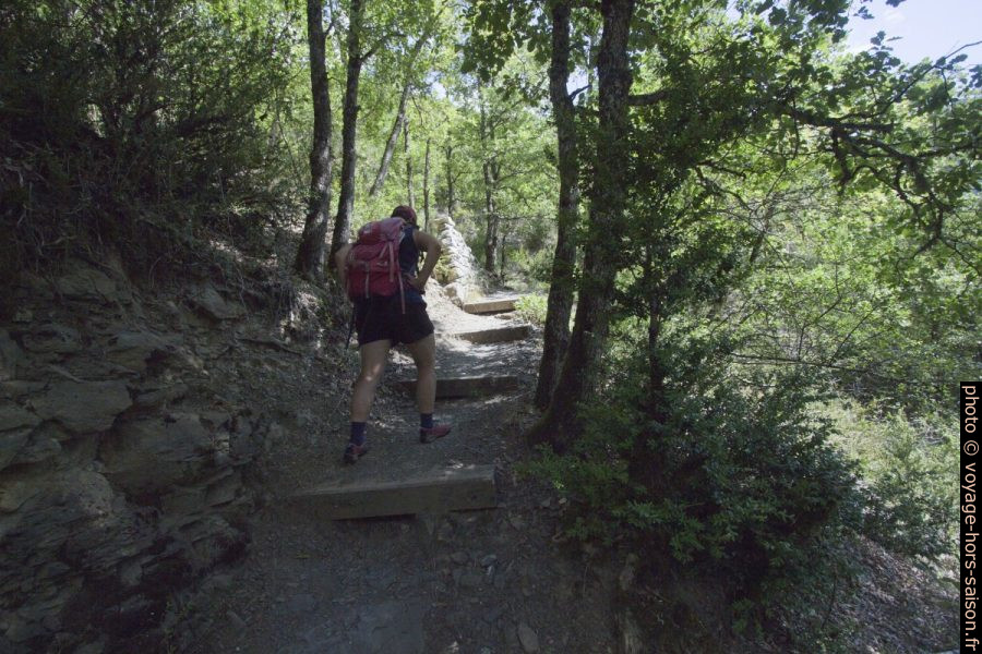 Montée sur le chemin dans le Vallon de St. Vincent. Photo © André M. Winter