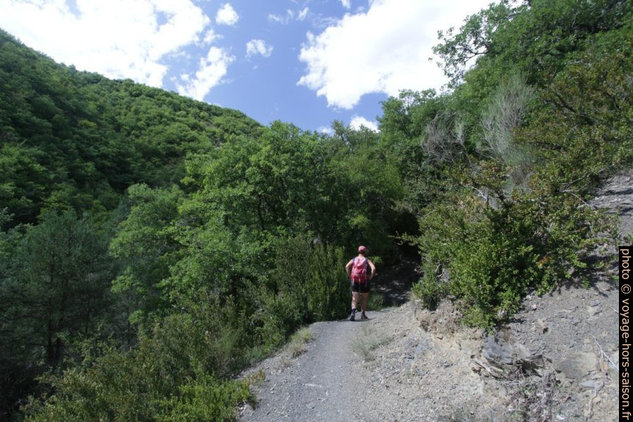 Montée sur le chemin dans le Vallon de St. Vincent. Photo © André M. Winter