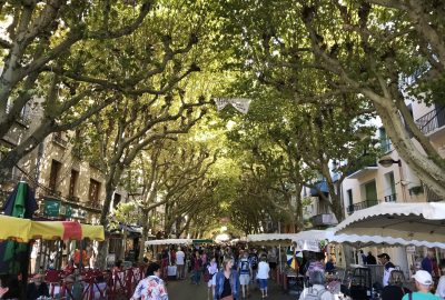 Le marché de Digne bien ombragé. Photo © Alex Medwedeff