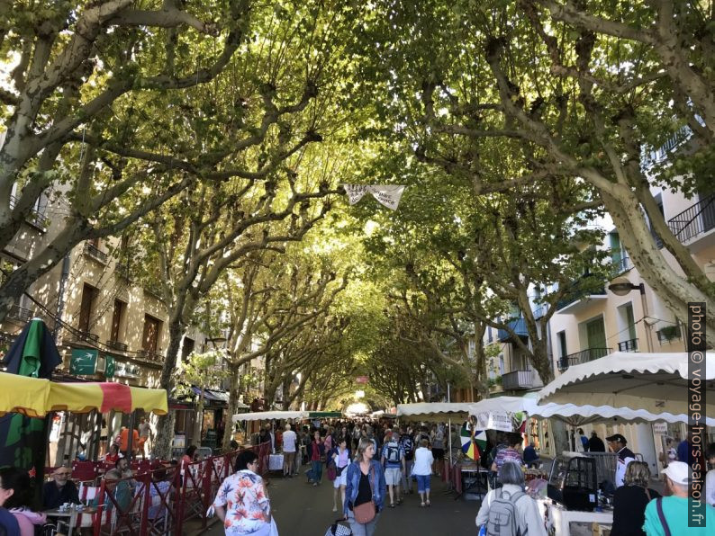 Le marché de Digne bien ombragé. Photo © Alex Medwedeff