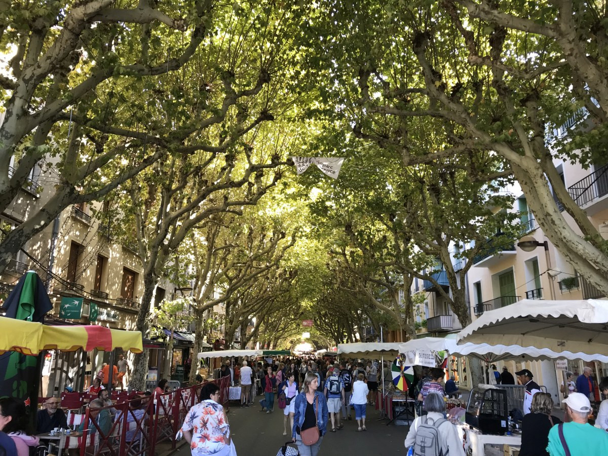 Le marché de Digne bien ombragé. Photo © Alex Medwedeff