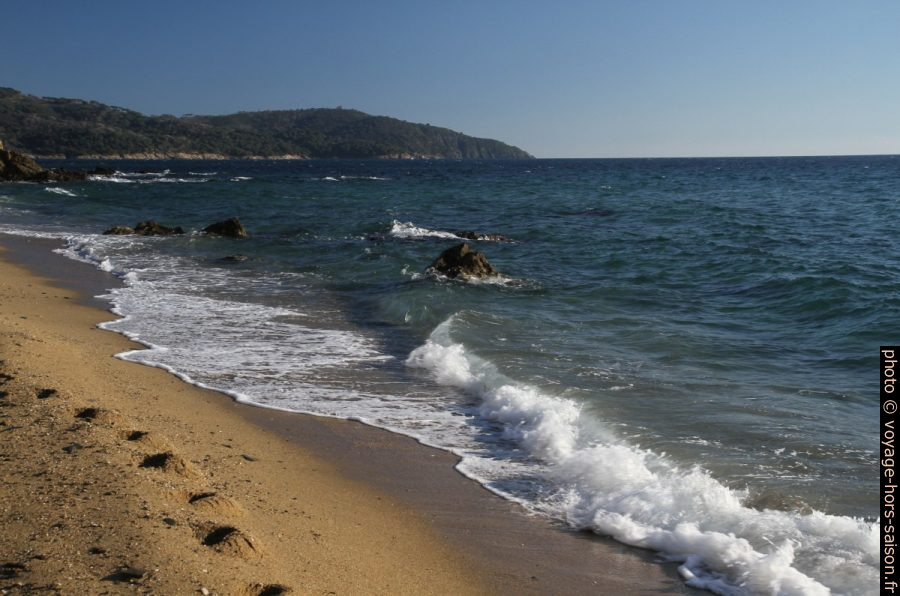 Plage de Sylvabelle et Cap Lardier. Photo © Alex Medwedeff