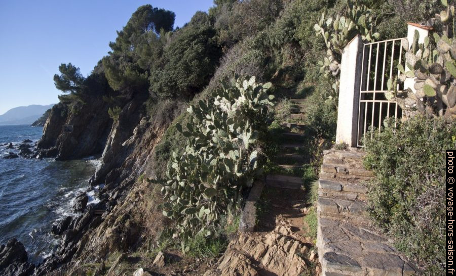Escalier privatif et sentier du littoral entre Sylvabelle et l'Héraclée. Photo © André M. Winter