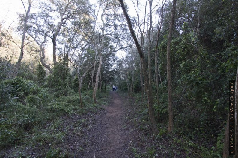 Sur le sentier du Fenouillet. Photo © André M. Winter