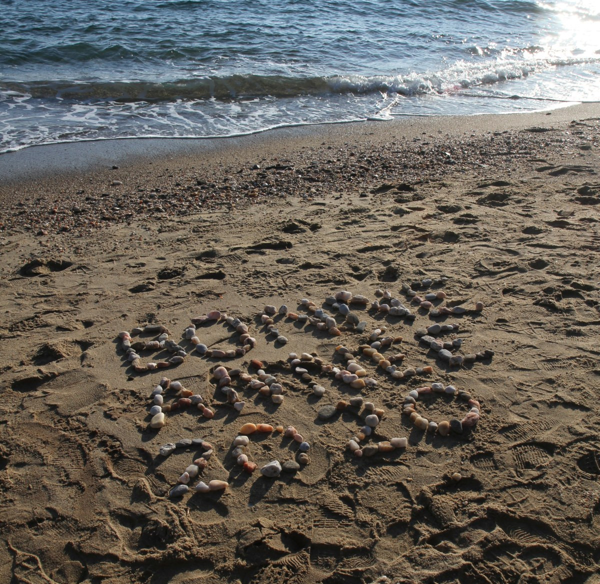 Bonne année 2020. Photo © Alex Medwedeff
