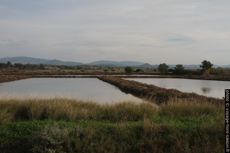 Bassins de la Messugue dans les Vieux Salins d'Hyères. Photo © Alex Medwedeff
