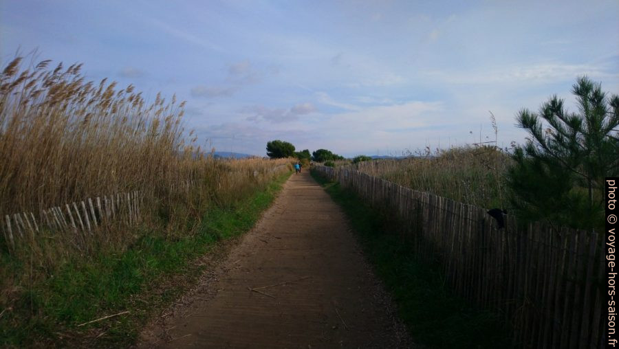 Sentier du littoral à l'arrière de la Plage du Pentagone. Photo © André M. Winter