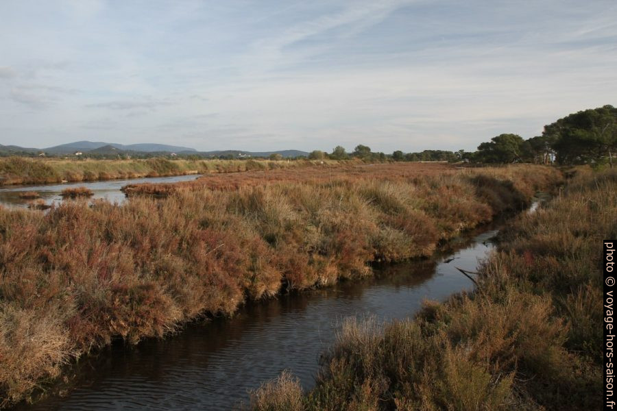 Canaux et bassins au sud des Vieux Salins d'Hyères. Photo © Alex Medwedeff
