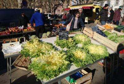 Salade frisée de Provence au marché d'Auriol. Photo © André M. Winter