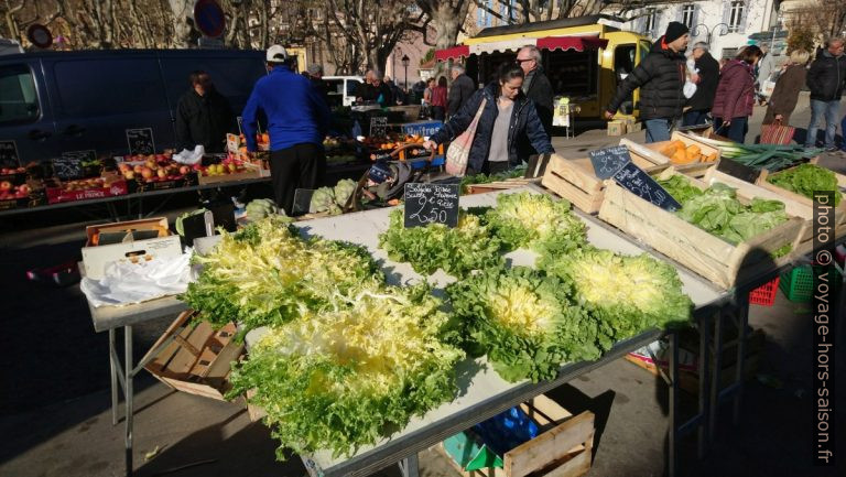 Salade frisée de Provence au marché d'Auriol. Photo © André M. Winter