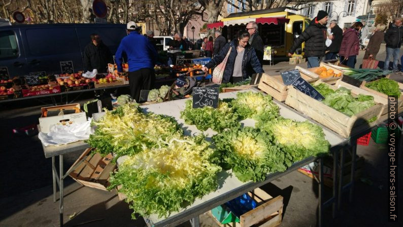 Salade frisée de Provence au marché d'Auriol. Photo © André M. Winter