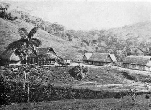 Une hacienda dans la jungle bolivienne