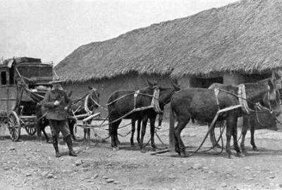 Diligence bolivienne