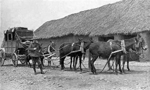 Diligence bolivienne