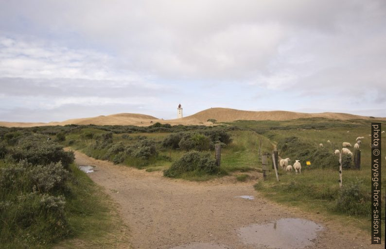 Paysage de dunes de Rubjerg Knude. Photo © André M. Winter