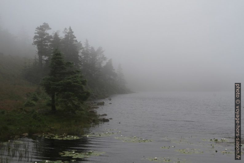 Lac Rudjordsvannet sous la brume. Photo © Nicolas Medwedeff