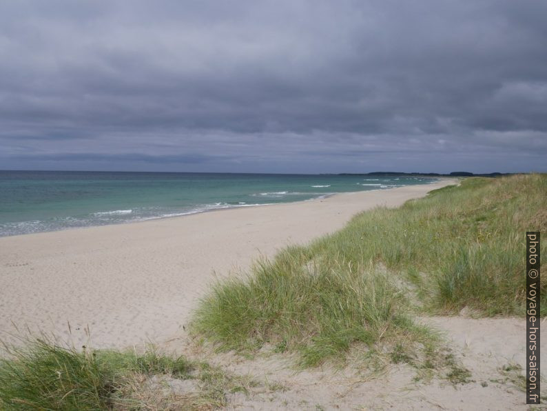 La dune et le plage de Brusanden. Photo © Nicolas Medwedeff