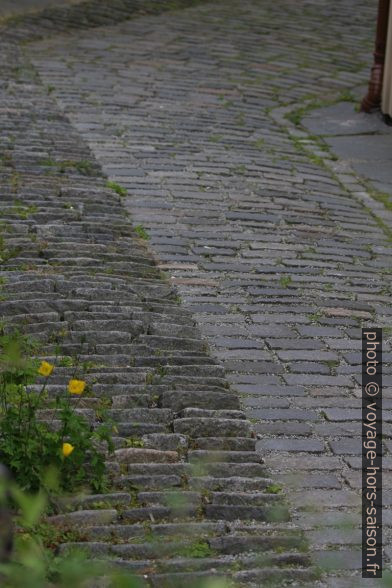 Pavés en écailles de la Eckmannsbakken. Photo © André M. Winter