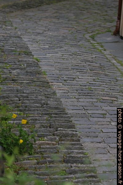 Pavés en écailles de la Eckmannsbakken. Photo © André M. Winter