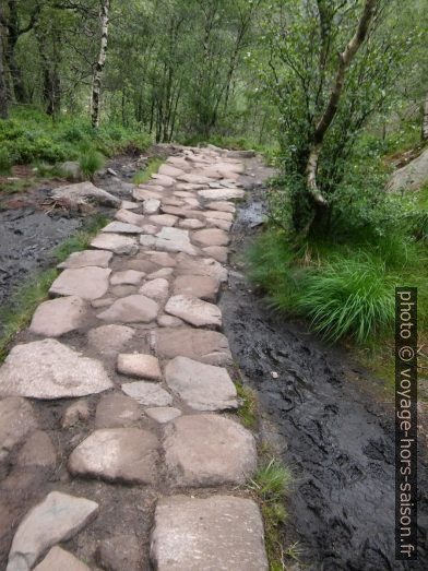 Chemin de Preikestolen dallé dans un marais. Photo © André M. Winter