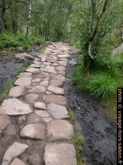 Chemin de Preikestolen dallé dans un marais. Photo © André M. Winter