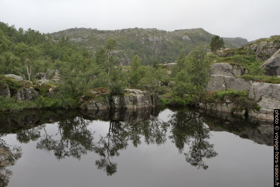 Un lac noir de tourbe. Photo © Alex Medwedeff