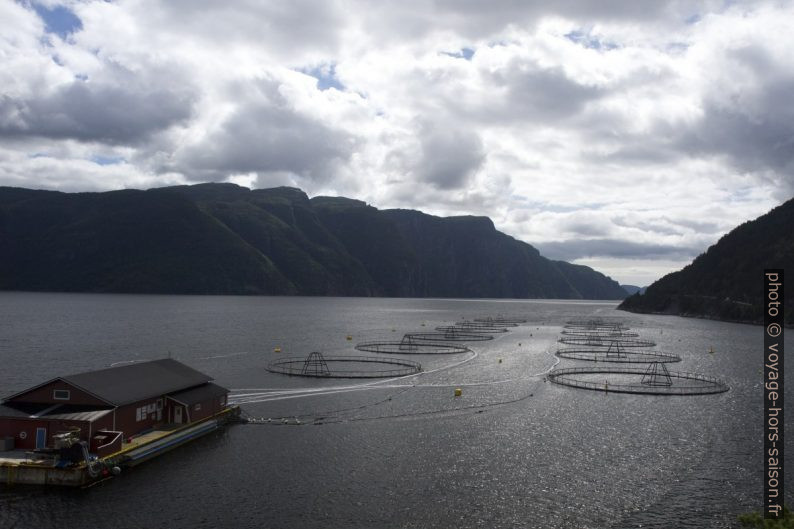 Pisciculture marine dans le Jøsenfjord à la Vindsvika. Photo © Alex Medwedeff