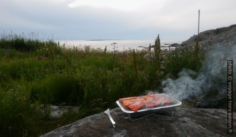 Du porc sur le barbecue jetable. Photo © André M. Winter