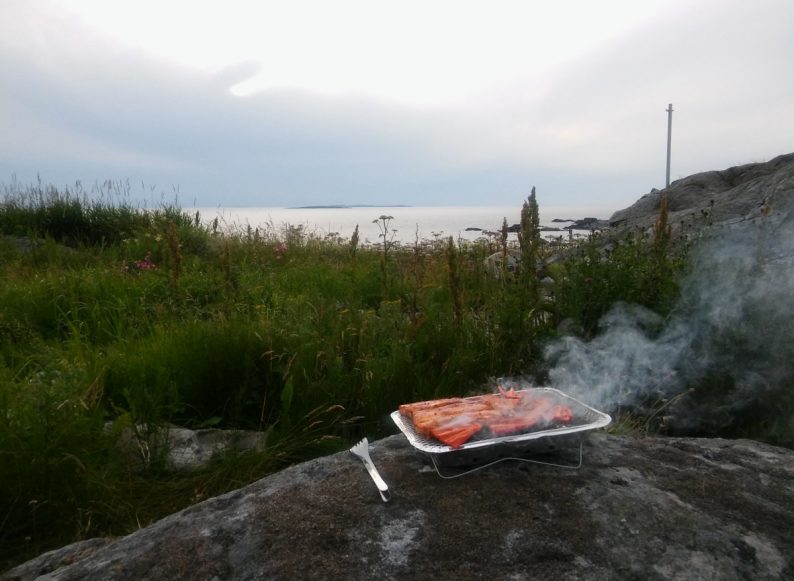 Du porc sur le barbecue jetable. Photo © André M. Winter