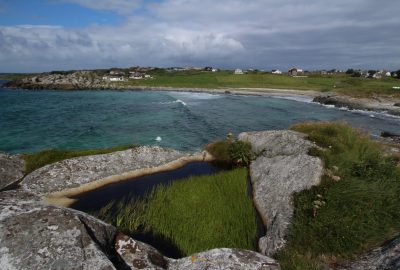 Plantes aquatiques d'eau douce dans une cuvette rocheuse près de la mer. Photo © André M. Winter