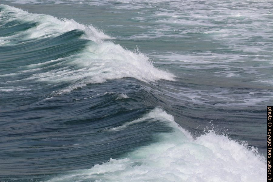 Déferlement d'une vague. Photo © André M. Winter