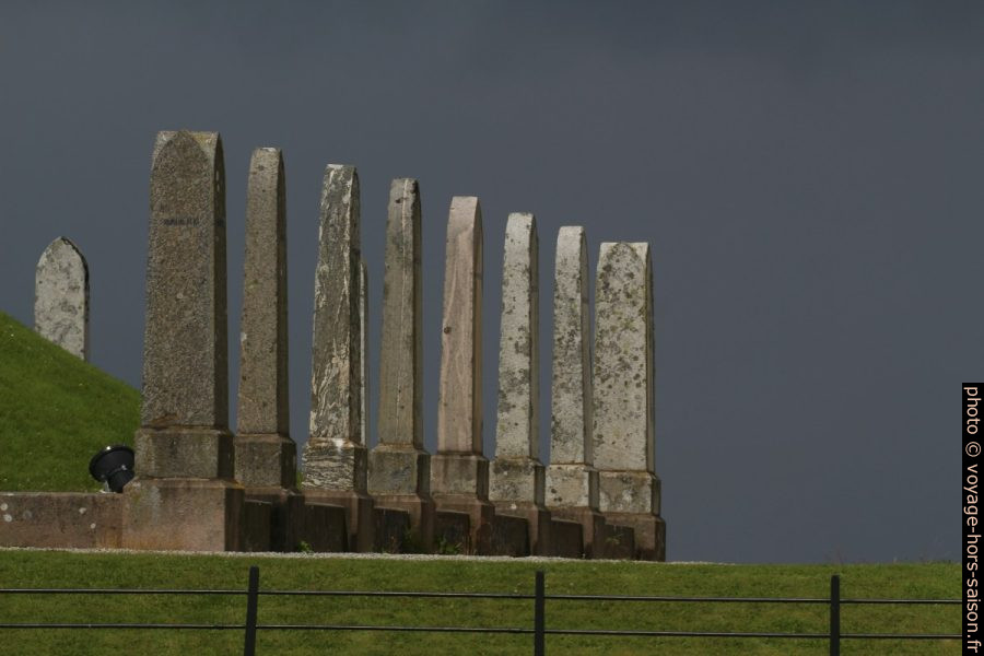 Pierres dressés de Haraldshaugen. Photo © André M. Winter