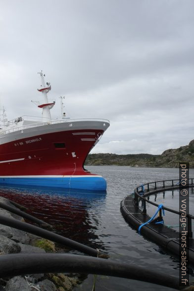 Navire de pêche Brennholm H-1-BN à Langevåg. Photo © Alex Medwedeff