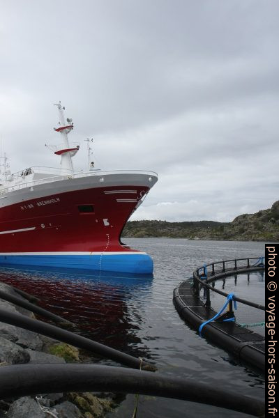 Navire de pêche Brennholm H-1-BN à Langevåg. Photo © Alex Medwedeff
