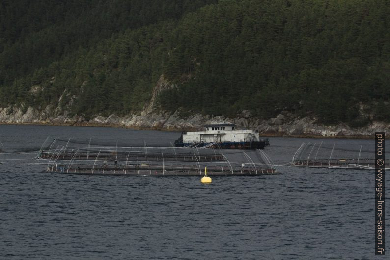 Cages piscicoles à Sætravika. Photo © André M. Winter