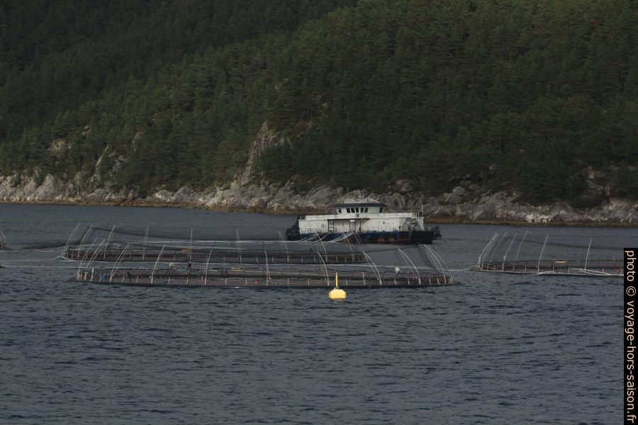 Cages piscicoles à Sætravika. Photo © André M. Winter