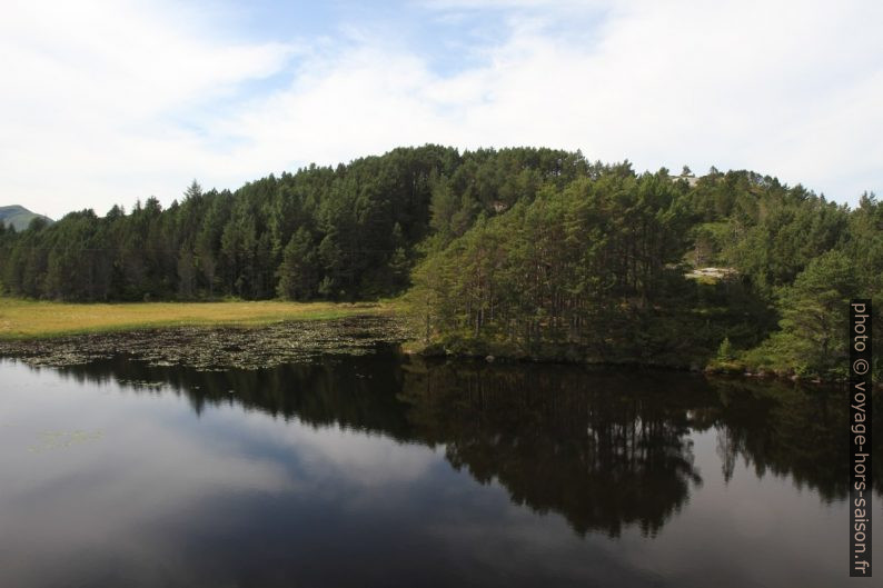 Le lac Forklevatnet sur Skongenes. Photo © Alex Medwedeff