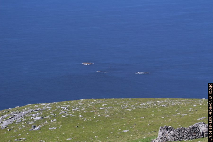 Les Îles Bukketjuvane vues de Kjerringa. Photo © André M. Winter