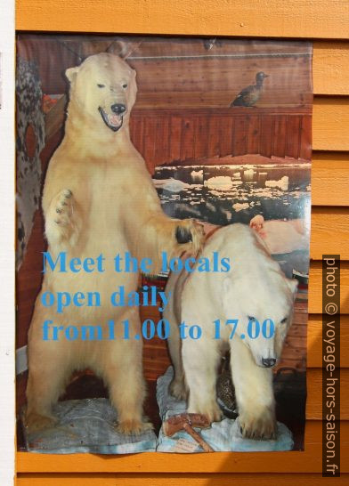 Affiche montrant des ours polaires et invitant à visiter le musée. Photo © André M. Winter