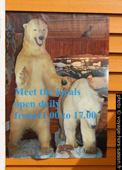 Affiche montrant des ours polaires et invitant à visiter le musée. Photo © André M. Winter