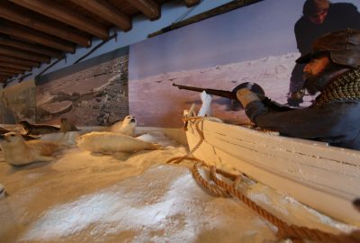 Chasse aux phoques en modèles grandeur nature. Photo © André M. Winter