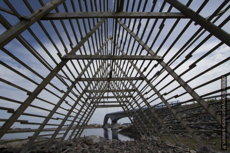 Sous un rack de séchage pour le cabillaud. Photo © André M. Winter