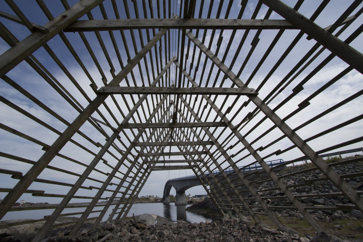 Sous un rack de séchage pour le cabillaud. Photo © André M. Winter