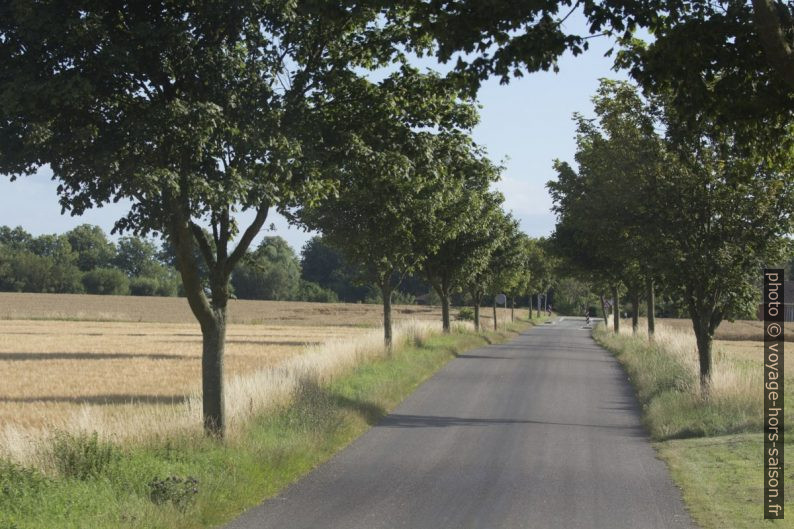 Route de campagne au Danemark. Photo © André M. Winter