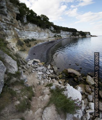 Tallus d'éboulis à Stevns Klint. Photo © André M. Winter