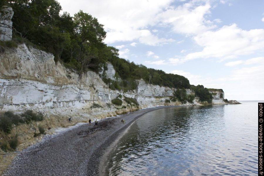Plage de galets sous les falaises de craie de Stevns Klint. Photo © Alex Medwedeff